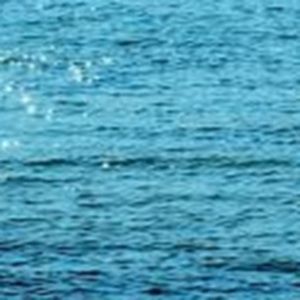 Meet your Posher, Zakia